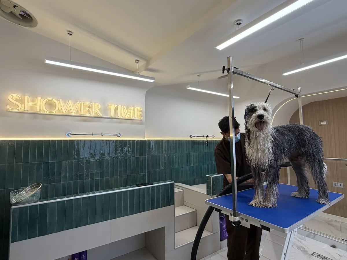 Perro de pelo gris largo sobre la mesa de grooming de MÜVA, bajo el letrero SHOWER TIME