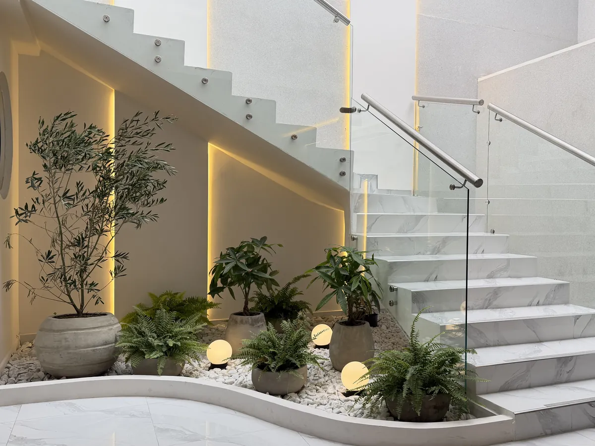 Jardín interior de MÜVA con un olivo, helechos y luces bajo una escalera de mármol y vidrio