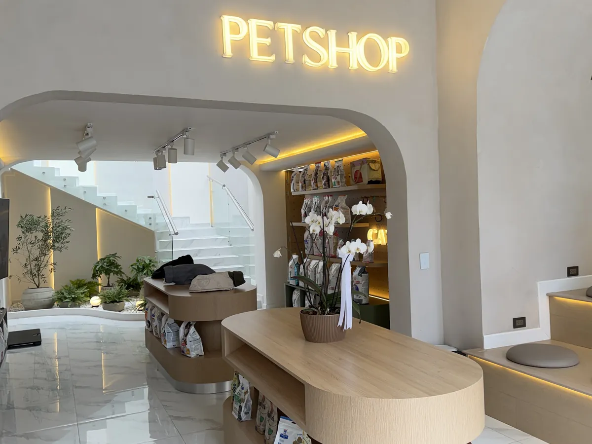 Recepción de MÜVA con el letrero PETSHOP iluminado, un mostrador de madera curvo y la escalera al fondo