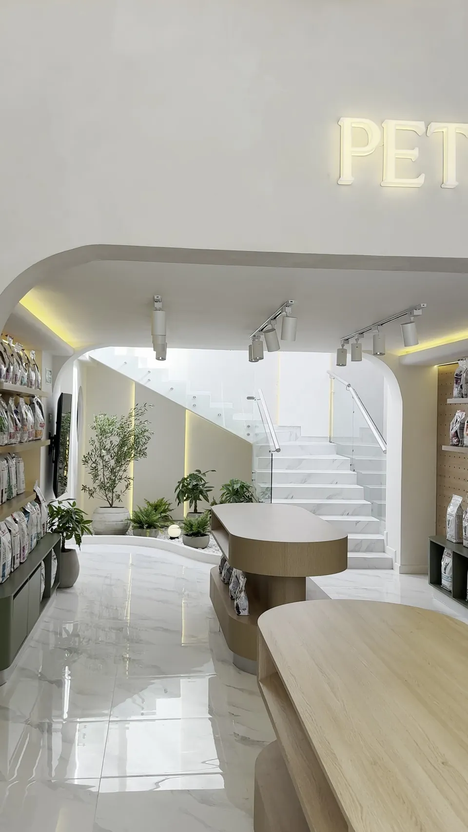Recepción de MÜVA con vegetación, mostrador curvo y luz natural