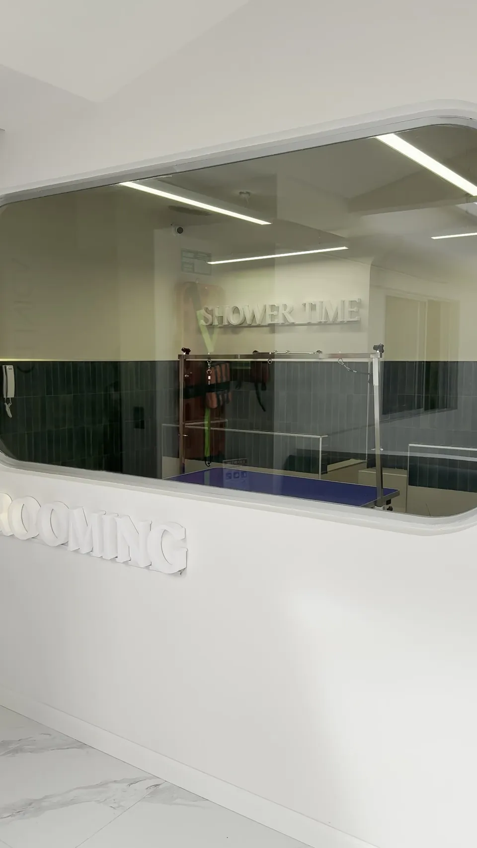 Sala de grooming de MÜVA vista a través del ventanal