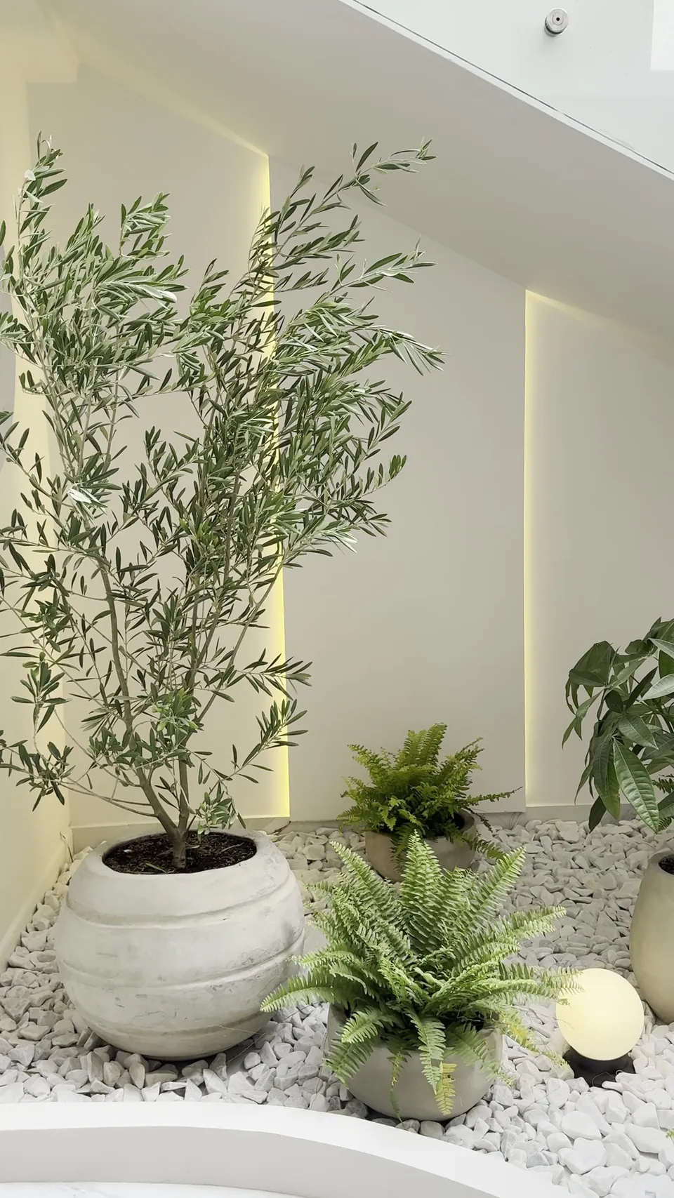 Jardín interior de la clínica MÜVA