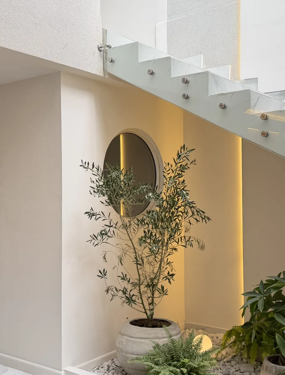 Olivo en el jardín interior de MÜVA, junto a un espejo redondo iluminado y la escalera de vidrio